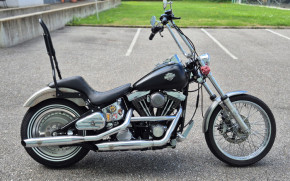 Acier Garde-boue pour les modèles HD Evo Softail